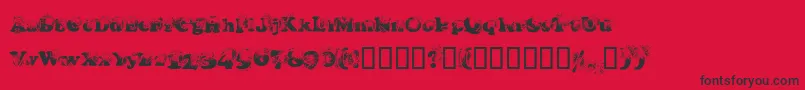 Coopdevi Font – Black Fonts on Red Background