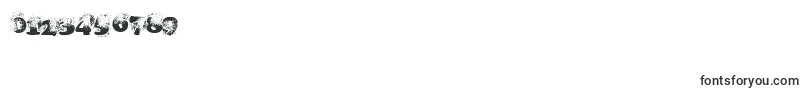 Coopdevi Font – Fonts for Numbers and Digits