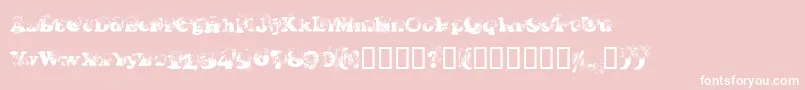 Coopdevi Font – White Fonts on Pink Background