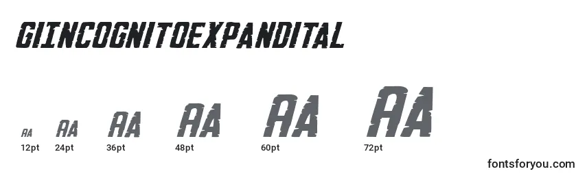 GiIncognitoexpandital Font Sizes