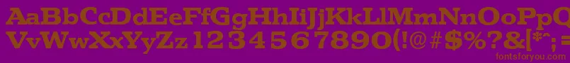 More about PenthouseserialXboldRegular Font PenthouseserialXboldRegular Font – Brown Fonts on Purple Background