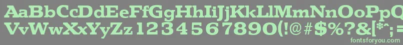 PenthouseserialXboldRegular Font – Green Fonts on Gray Background