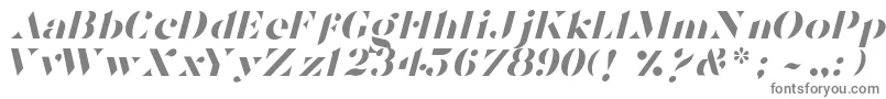 TostadaItalic Font – Gray Fonts