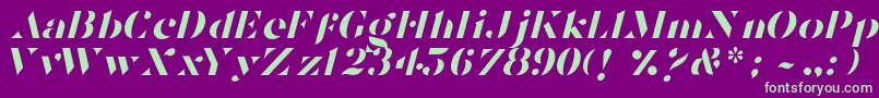 TostadaItalic-fontti – vihreät fontit violetilla taustalla