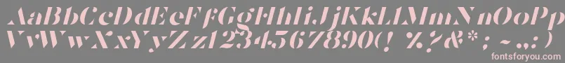 フォントTostadaItalic – 灰色の背景にピンクのフォント