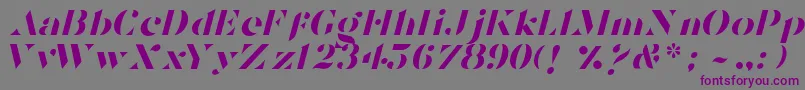フォントTostadaItalic – 紫色のフォント、灰色の背景