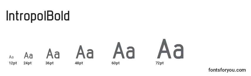 IntropolBold Font Sizes