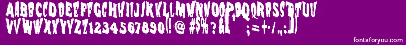 Vtcnightofthewackeddead Font – White Fonts on Purple Background