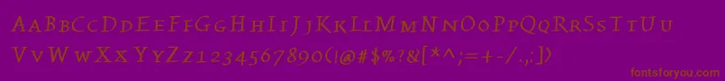 Kleinswrittencaps Font – Brown Fonts on Purple Background