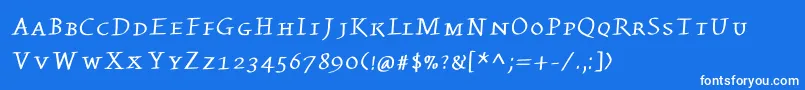 Kleinswrittencaps Font – White Fonts on Blue Background