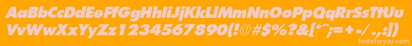 FuturistextraheavyItalic Font – Pink Fonts on Orange Background