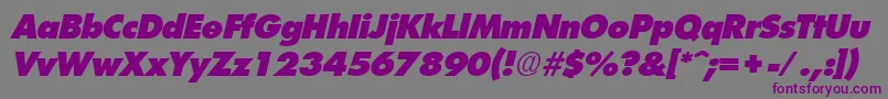 FuturistextraheavyItalic Font – Purple Fonts on Gray Background