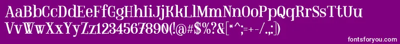 MountregularPersonaluse Font – White Fonts on Purple Background