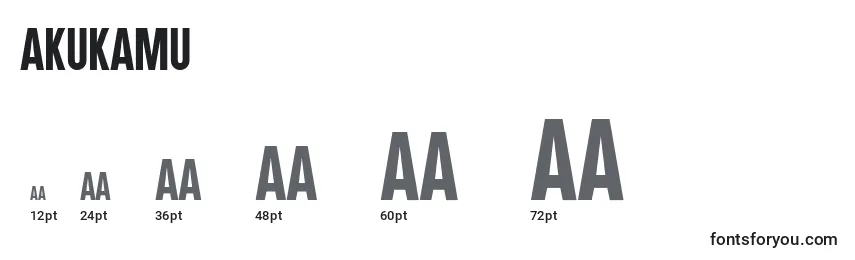 Размеры шрифта Akukamu