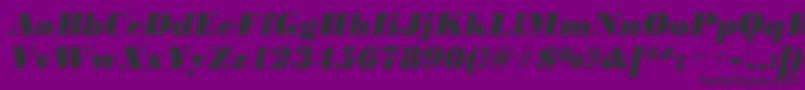 BodonistdXboldItalic Font – Black Fonts on Purple Background