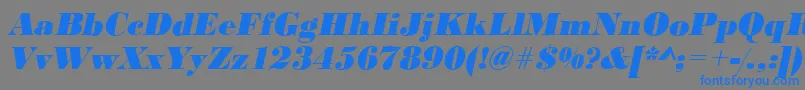 BodonistdXboldItalic Font – Blue Fonts on Gray Background