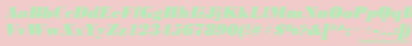 BodonistdXboldItalic Font – Green Fonts on Pink Background