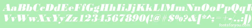 BodonistdXboldItalic Font – White Fonts on Green Background