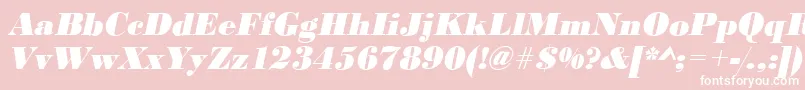 BodonistdXboldItalic Font – White Fonts on Pink Background