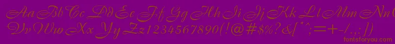 B820ScriptRegular Font – Brown Fonts on Purple Background