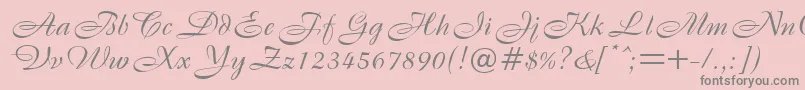 B820ScriptRegular Font – Gray Fonts on Pink Background