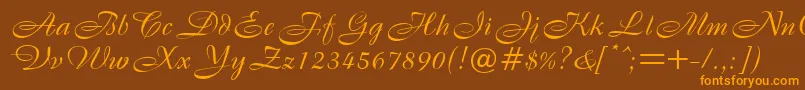 B820ScriptRegular Font – Orange Fonts on Brown Background