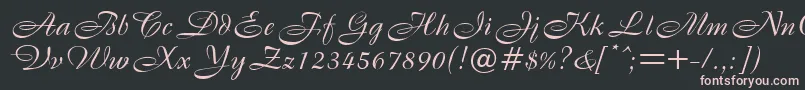 B820ScriptRegular Font – Pink Fonts on Black Background