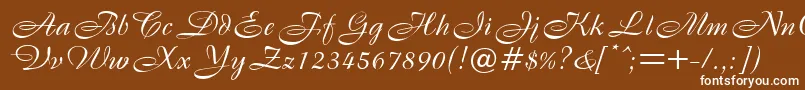 B820ScriptRegular Font – White Fonts on Brown Background