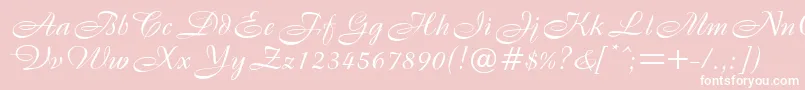 B820ScriptRegular Font – White Fonts on Pink Background