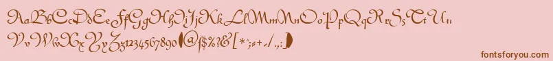 CivotypeDb Font – Brown Fonts on Pink Background