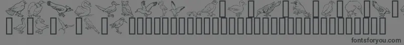 フォントGeBirdsOfAFeather – 黒い文字の灰色の背景