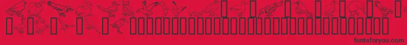 フォントGeBirdsOfAFeather – 赤い背景に黒い文字