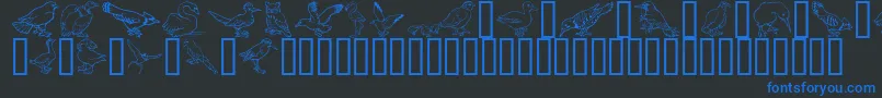 GeBirdsOfAFeather Font – Blue Fonts on Black Background