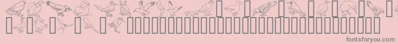 More about GeBirdsOfAFeather Font GeBirdsOfAFeather Font – Gray Fonts on Pink Background