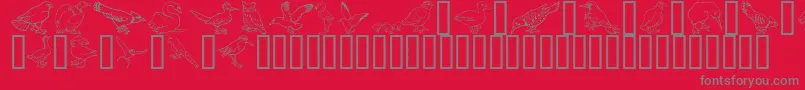 Шрифт GeBirdsOfAFeather – серые шрифты на красном фоне