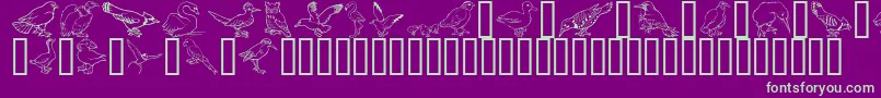 GeBirdsOfAFeather Font – Green Fonts on Purple Background