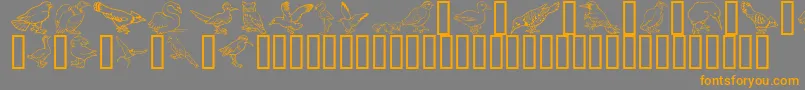 Fonte GeBirdsOfAFeather – fontes laranjas em um fundo cinza
