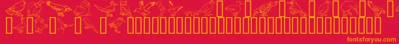 fuente GeBirdsOfAFeather – Fuentes Naranjas Sobre Fondo Rojo