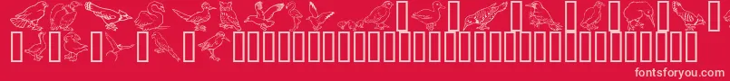 Police GeBirdsOfAFeather – polices roses sur fond rouge