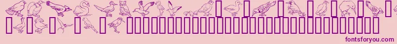 GeBirdsOfAFeather Font – Purple Fonts on Pink Background
