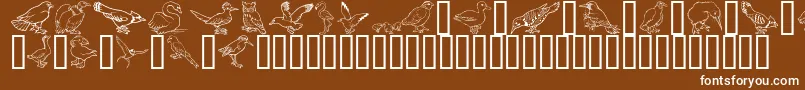 Czcionka GeBirdsOfAFeather – białe czcionki na brązowym tle