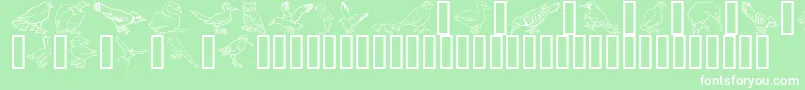 Lisätietoja GeBirdsOfAFeather-fontista GeBirdsOfAFeather-fontti – valkoiset fontit vihreällä taustalla