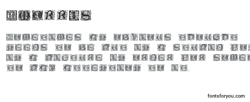 Обзор шрифта Wmorris
