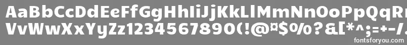 フォントCandal – 灰色の背景に白い文字