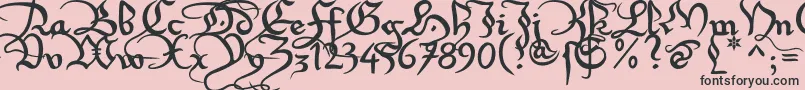 Xirwena1 Font – Black Fonts on Pink Background
