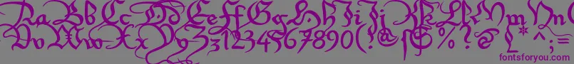 Xirwena1 Font – Purple Fonts on Gray Background