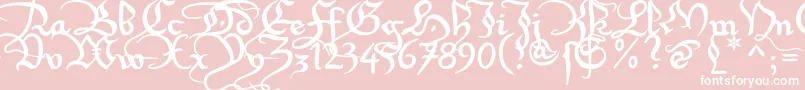 Xirwena1-Schriftart – Weiße Schriften auf rosa Hintergrund