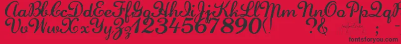 LaurenscriptRegular Font – Black Fonts on Red Background