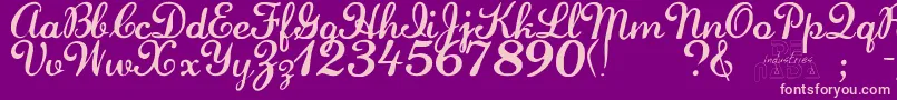 LaurenscriptRegular Font – Pink Fonts on Purple Background