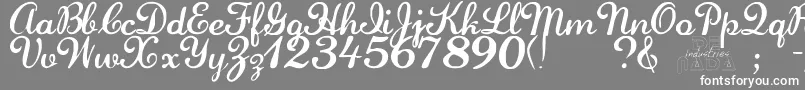 フォントLaurenscriptRegular – 灰色の背景に白い文字